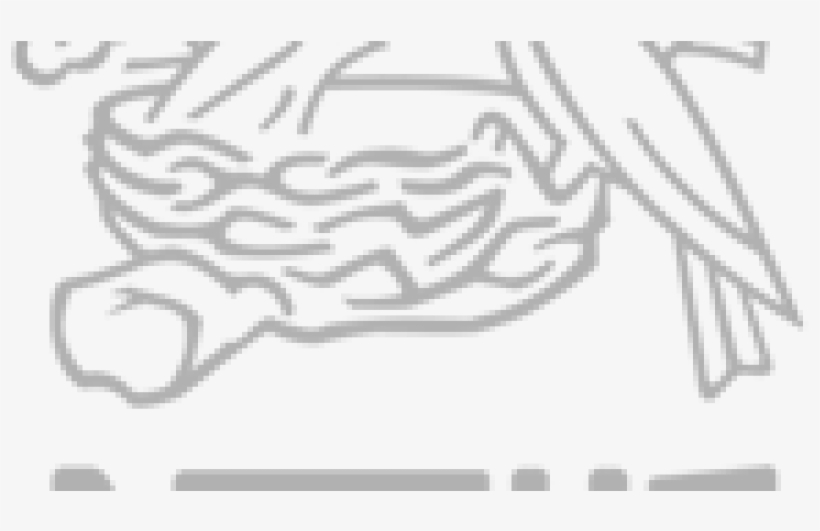 Single Company Logos With Names, transparent png download