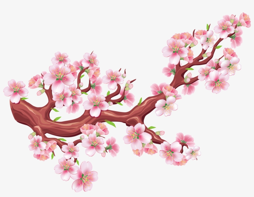 Sakura Png, transparent png download