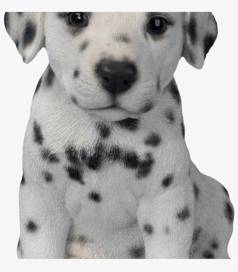 Cute Puppy Dog Clip Art Library Techflourish Collections - Dalmatian Puppy, transparent png download