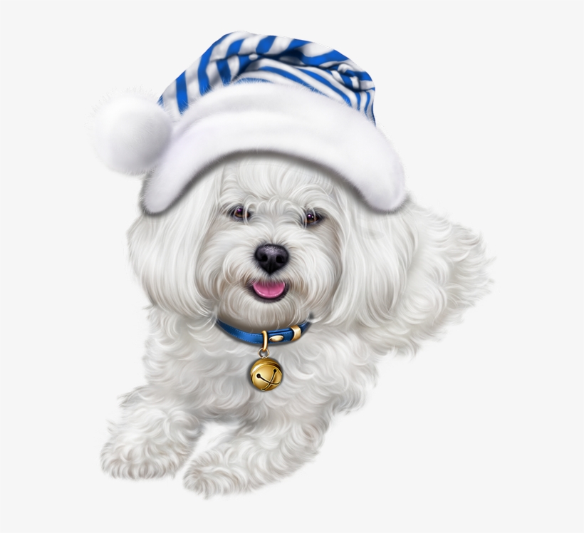 Puppy Images, Puppy Care, Cute Puppies, Cute Dogs, - Christmas Puppy Images Clipart, transparent png download