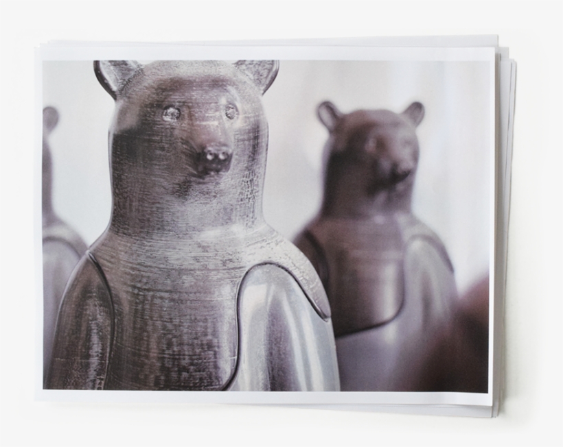 01 Final5 - Grizzly Bear, transparent png download