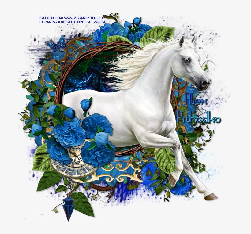 White Horse - Presença De Deus, transparent png download