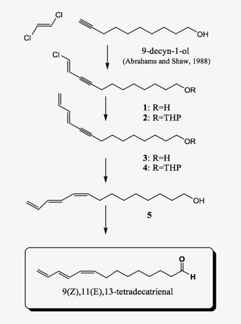 Synthesis Of 9,11,13 Tetradecatrienal - Diagram, transparent png download