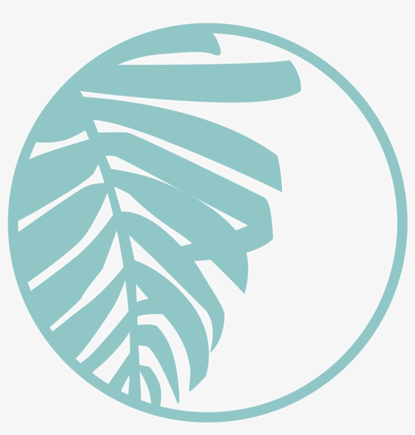 What Is Baptism - Beach Cities Church, transparent png download