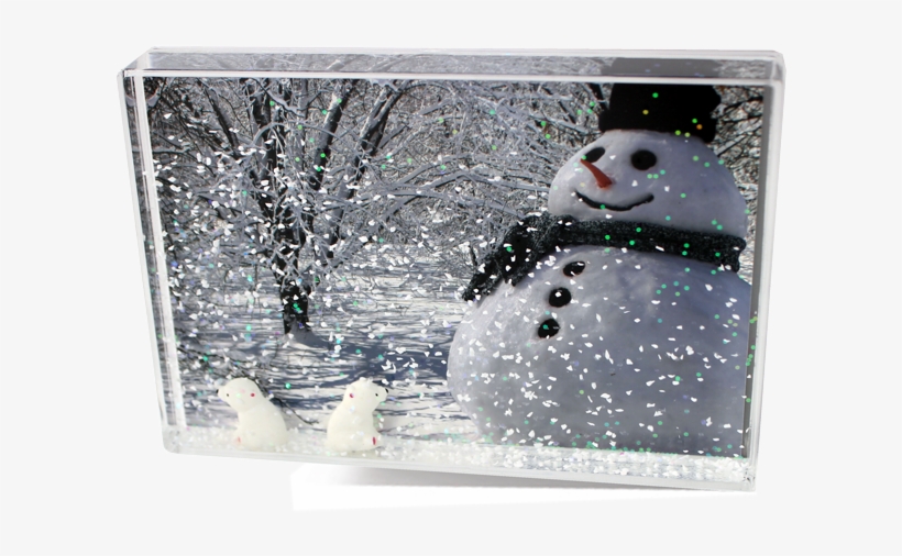 Adventa Photo Frame With Polar Bears - Penguin, transparent png download