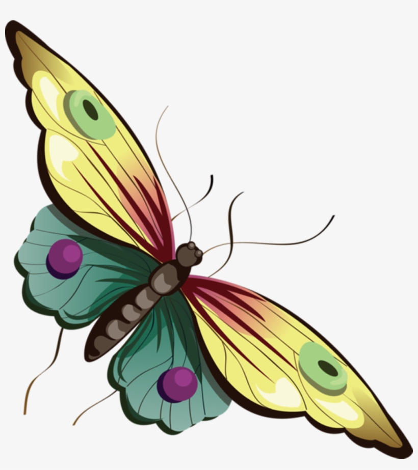 Mq Sticker - Butterfly Clipart With No Background, transparent png download