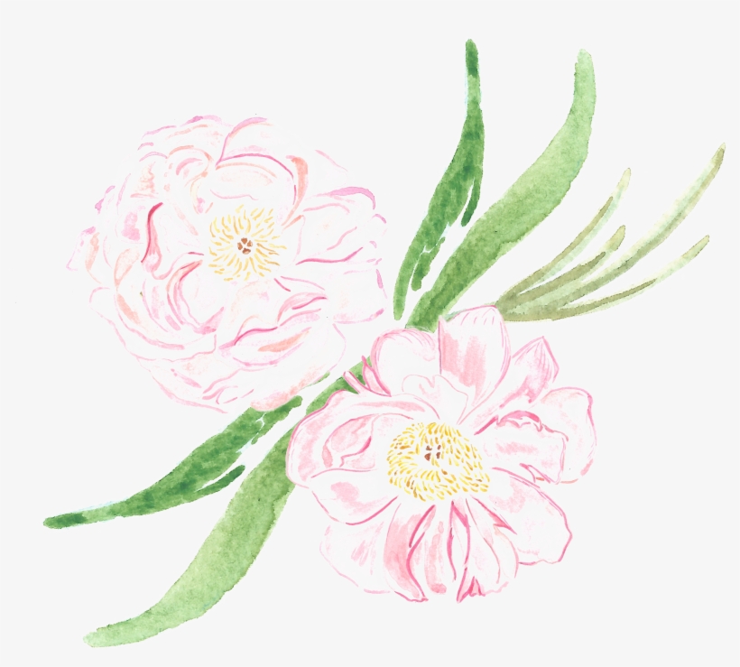 Arranjos Florais Sp - Common Peony, transparent png download