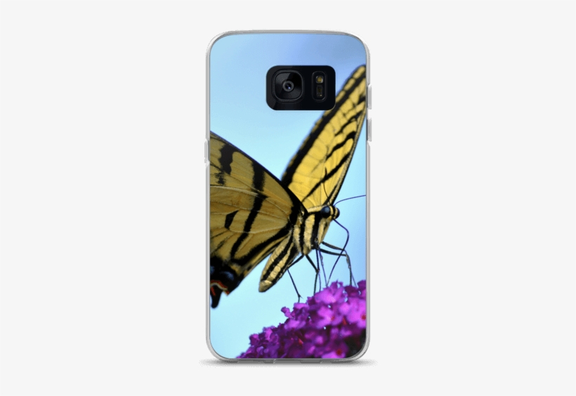 Butterfly, transparent png download