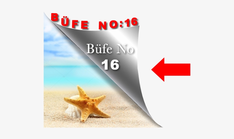 Book Now & Info Call Center - Starfish, transparent png download