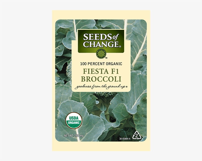 Organic Fiesta F-1 Broccoli Seeds - Collard Greens, transparent png download