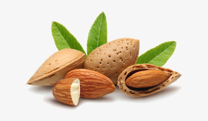 Sutter Yuba Colusa Almond Day - Frutos Secos, transparent png download