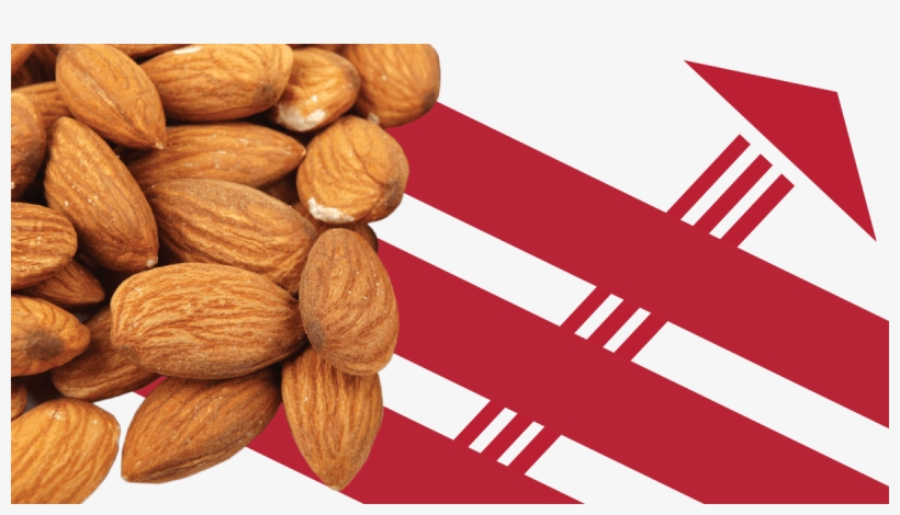 Almond, transparent png download
