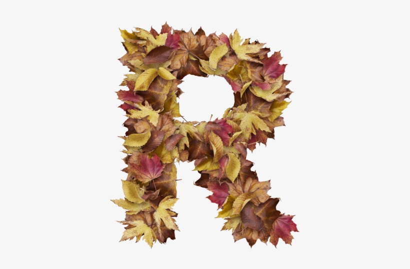 Letter R From Dry Leaves - Wreath, transparent png download