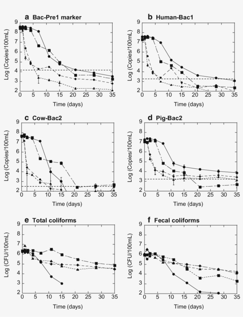 Persistence Of Fecesderived Bac Pre1 Markers , Human - Diagram, transparent png download