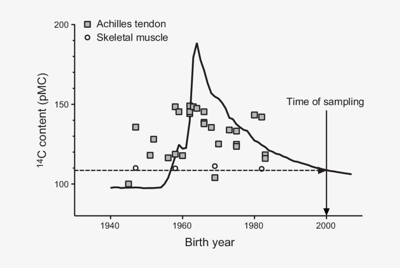 14 C Bomb-pulse Curve - Diagram, transparent png download