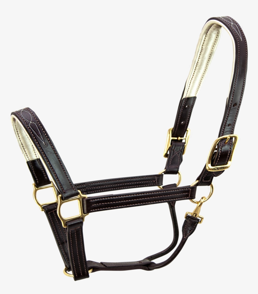 Signature Padded Horse Halter -s5000 - Horse Halter Png, transparent png download