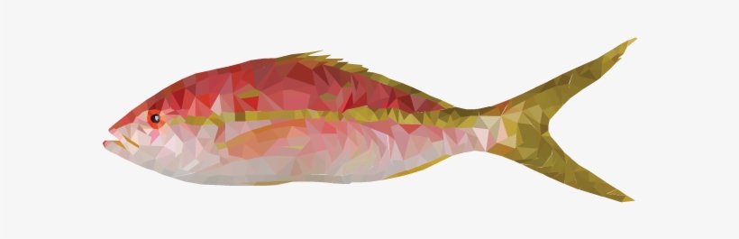 Fish - Wrasses, transparent png download
