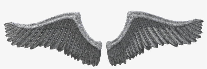 Wing, Feather, Angel, Fee, Elf, Fairy - Fairy, transparent png download