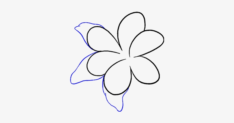 How To Draw Lily - Line Art, transparent png download