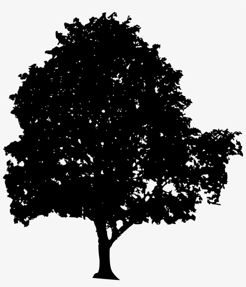 Tree, transparent png download
