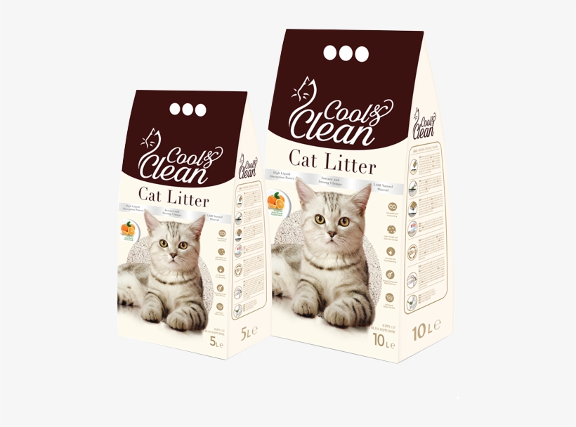 Cat Grabs Treat, transparent png download