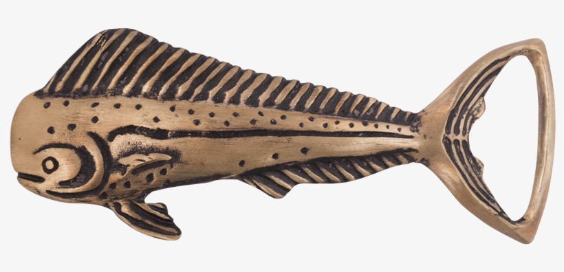 Marine Mammal, transparent png download