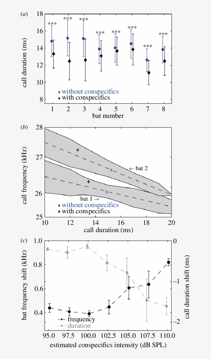 Changes In Bats' Signals In Response To Conspecifics - Diagram, transparent png download