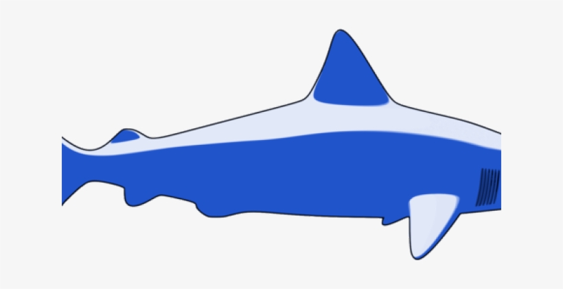 Great White Shark Clipart Shark Finning, transparent png download
