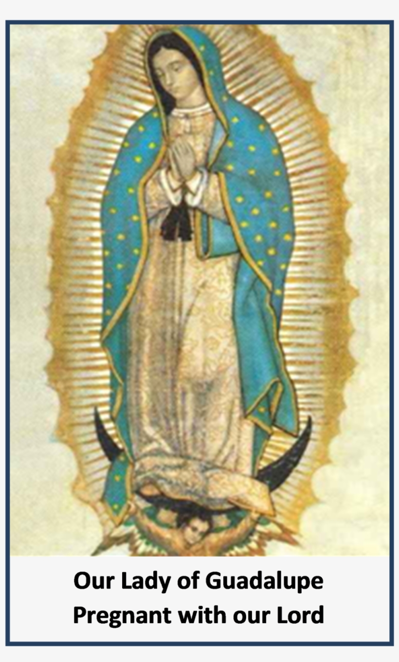 Baby Jesus In The Womb - Basilica Of Our Lady Of Guadalupe, transparent png download