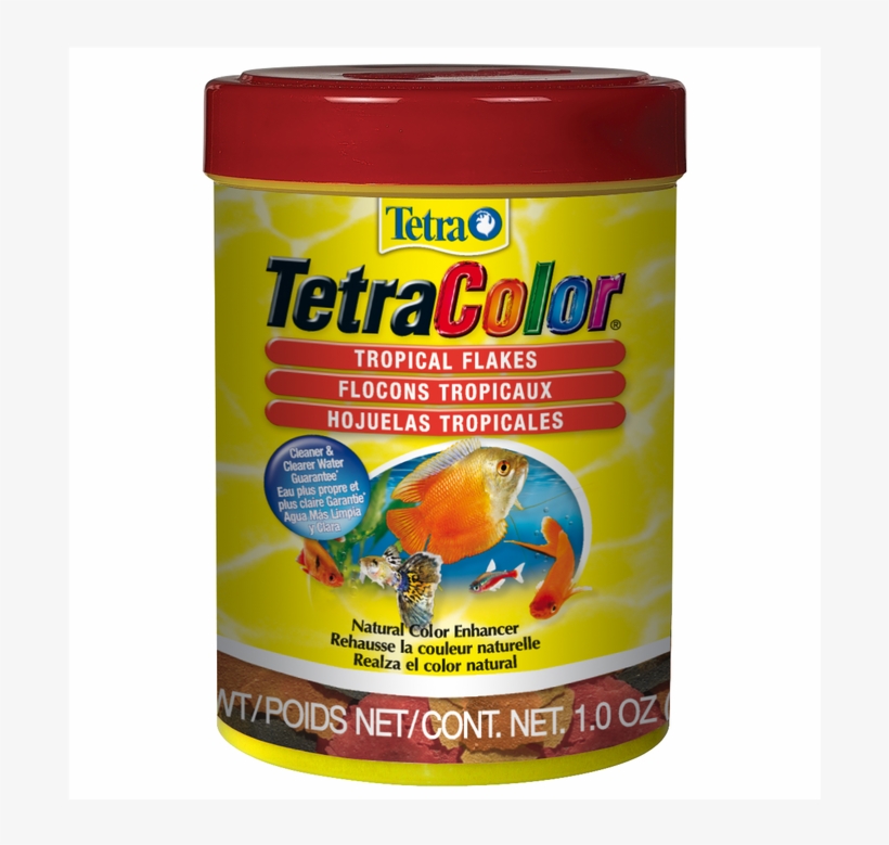 Image - Goldfish, transparent png download