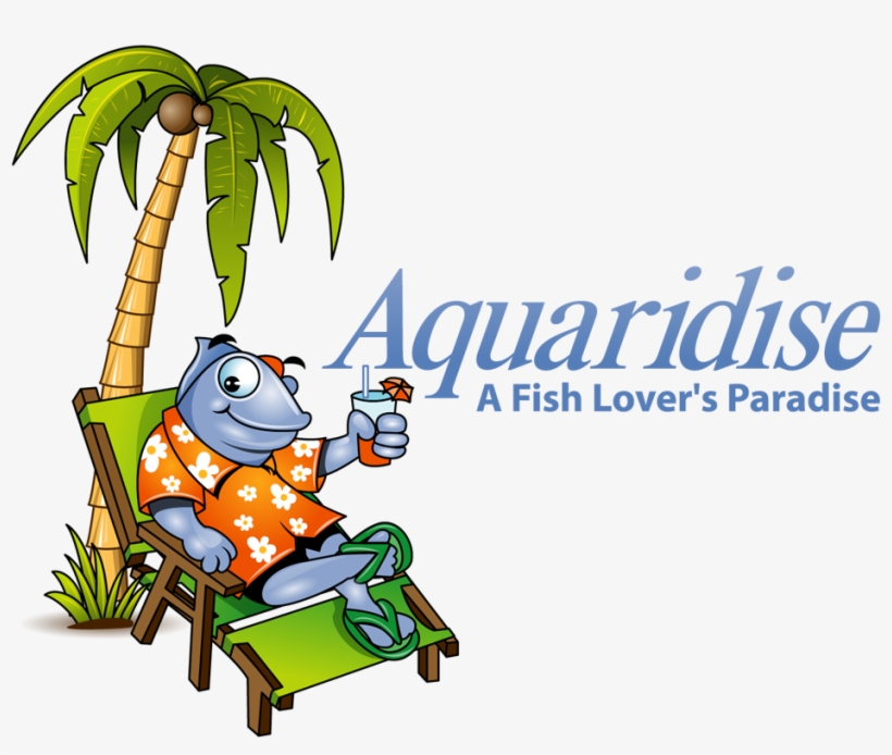 Tropical Fish Store & Aquarium Shop - Cartoon, transparent png download