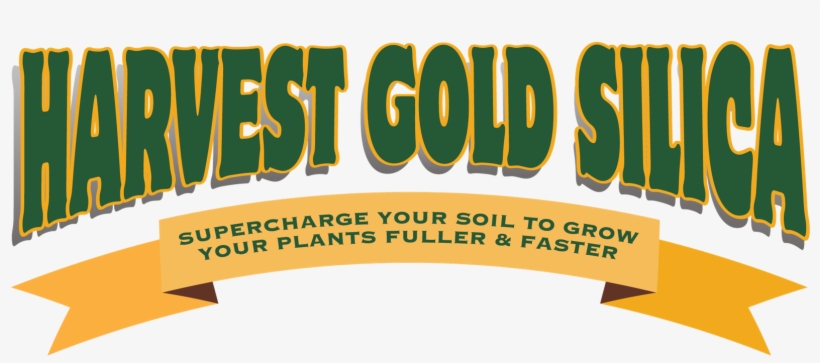 Harvest Gold Silica, transparent png download