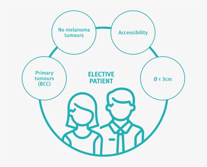 Head&neck - Job Seeker Icon, transparent png download