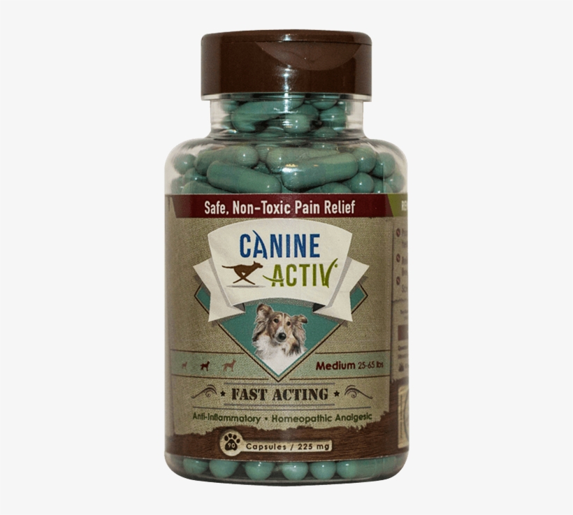 Medium - Salmon, transparent png download