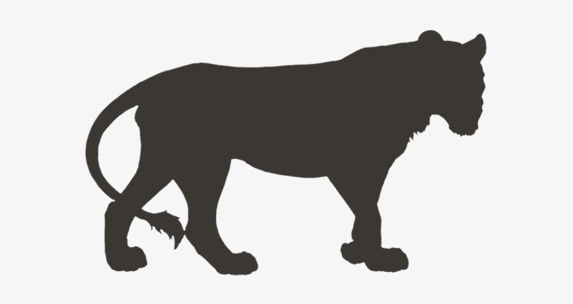 Lioden Ear Tufts Onyx, transparent png download