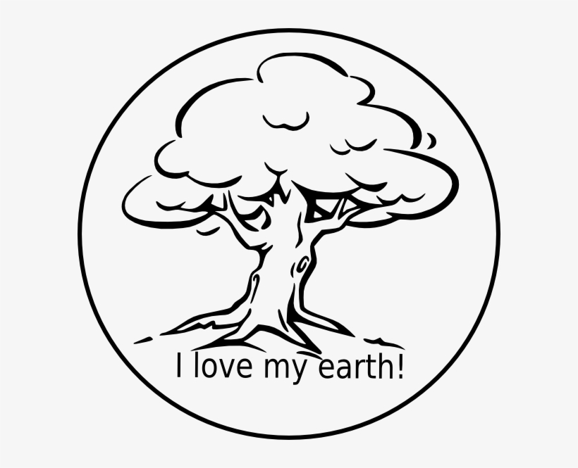 Tree Clipart Clipart Tree Drawing - Black And White Clipart Tree, transparent png download