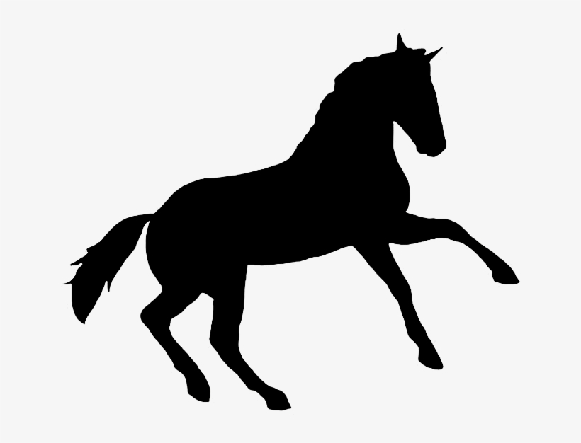 Printable Horse Silhouette Png - Appaloosa Horse Clipart Art, transparent png download