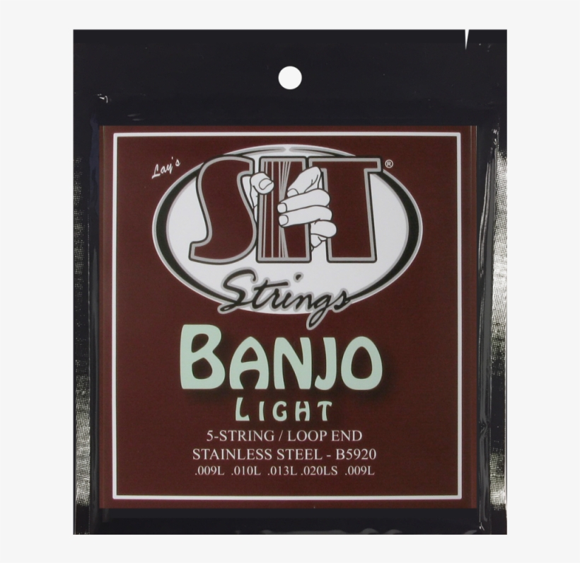 5- String Light - Poster, transparent png download