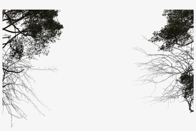 Ja Bg 21 Jun 2017 - Monochrome, transparent png download