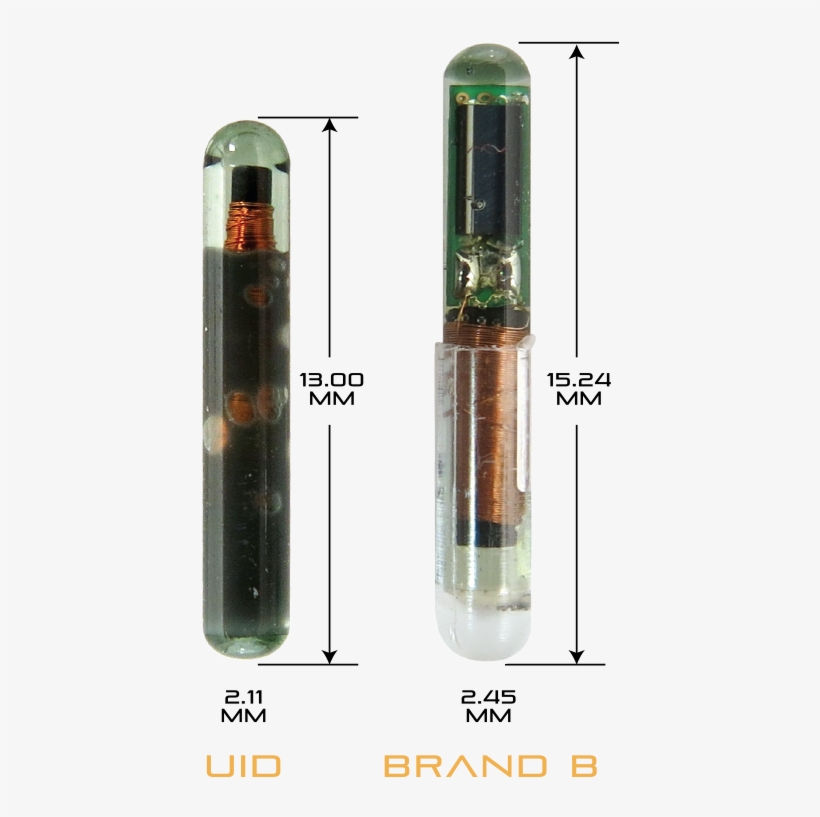 Temperature Microchips - Bullet, transparent png download