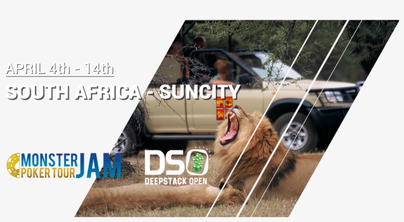 A Buy-in For Every Poker Player - Pc Game, transparent png download