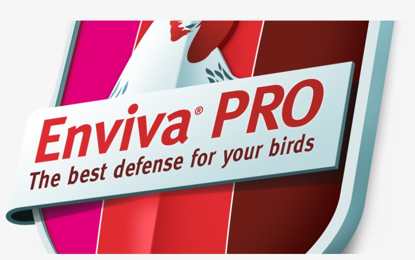 Dupont™ Enviva® Pro Probiotic Now Available To European - Graphic Design, transparent png download