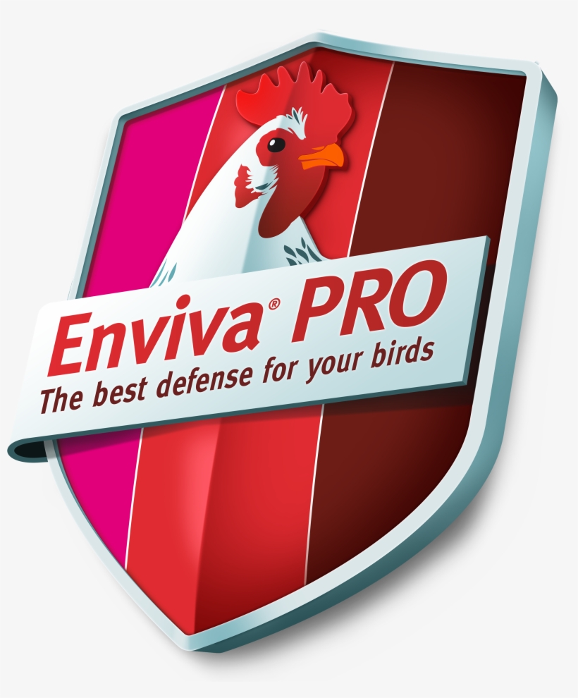 Dupont™ Enviva® Pro Probiotic Now Available To European - Energy Australia, transparent png download
