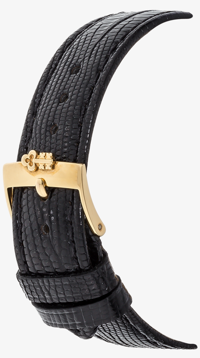 Twenty Dollar Coin Yellow Gold Quartz - Buckle, transparent png download