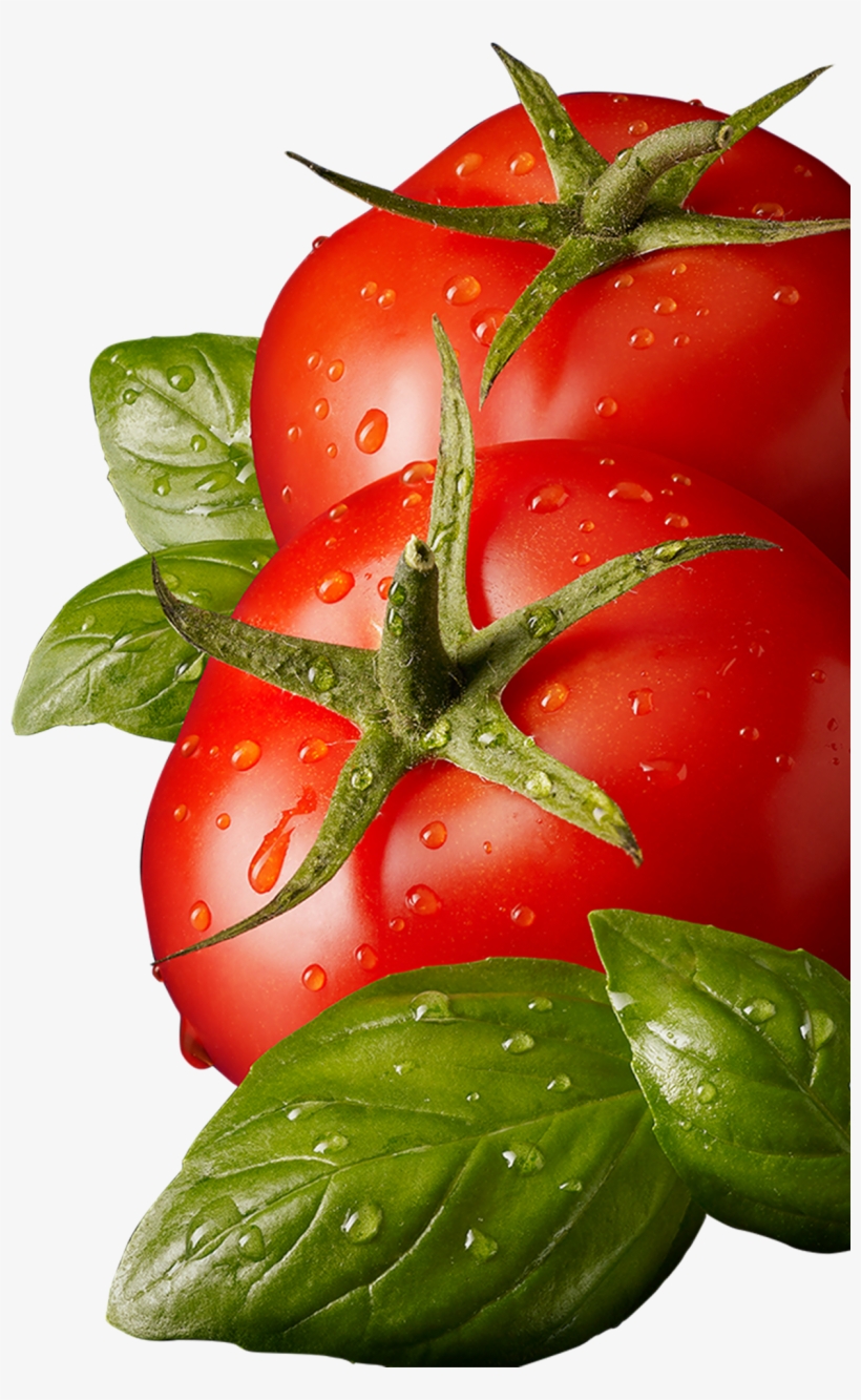 Download - Tomato Leaves Png, transparent png download