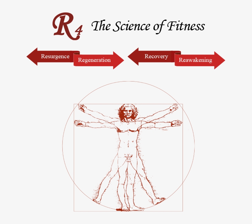 Banner Image Overlay - Anatomy Of Man Leonardo Da Vinci, transparent png download
