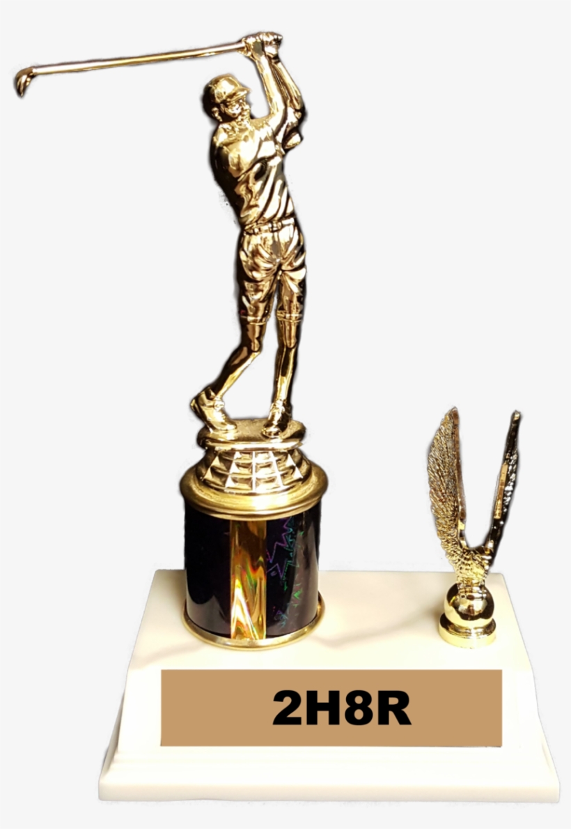 All Trophies Can Be Customized To Your Specifications - Trophy, transparent png download
