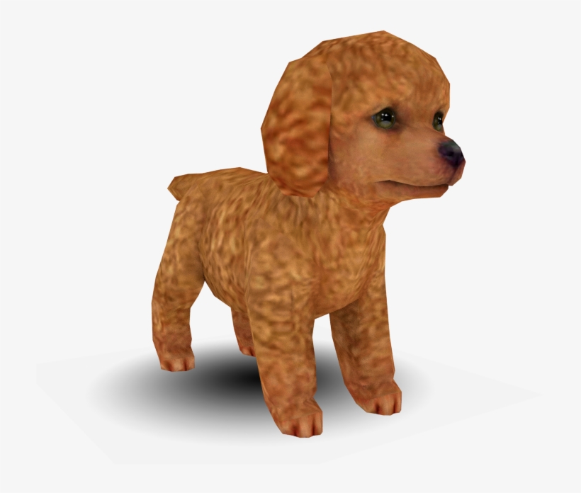 Download Zip Archive - Toy Poodle, transparent png download