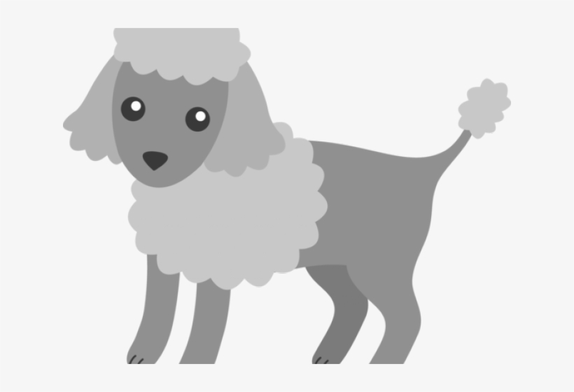 Poodle Clipart Transparent - Transparent Poodle Clipart, transparent png download