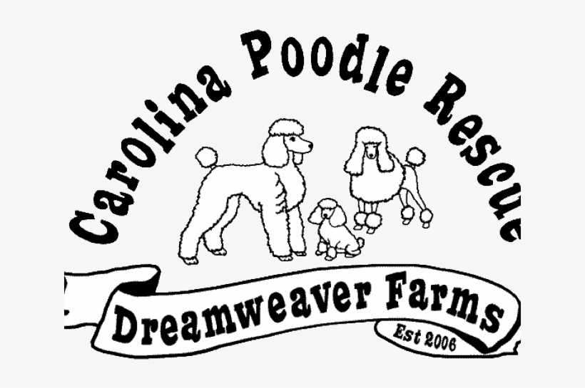 Drawn Poodle Teacup Poodle - Kirin Ichiban Logo Png, transparent png download